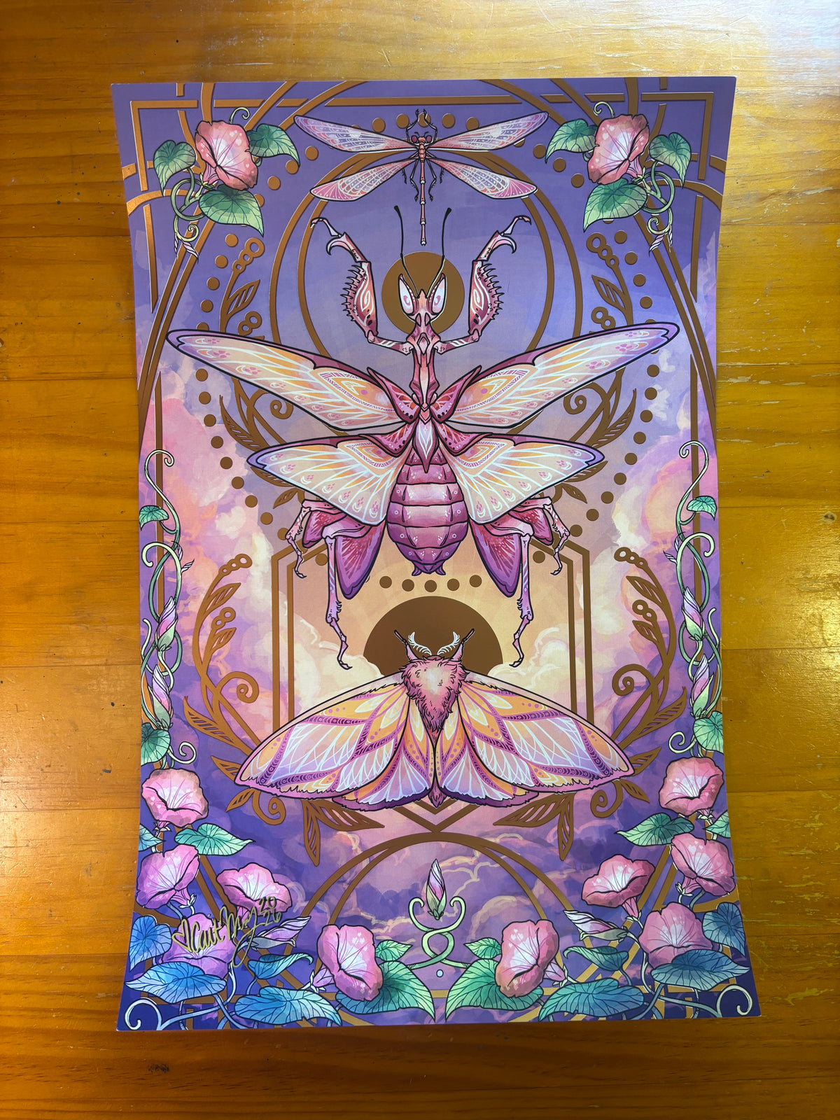 Illustration "Insect" Bundle - Signed by Cait May