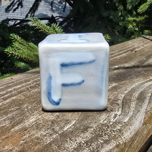 FUCK ICE Cube
