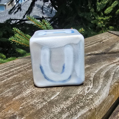 FUCK ICE Cube
