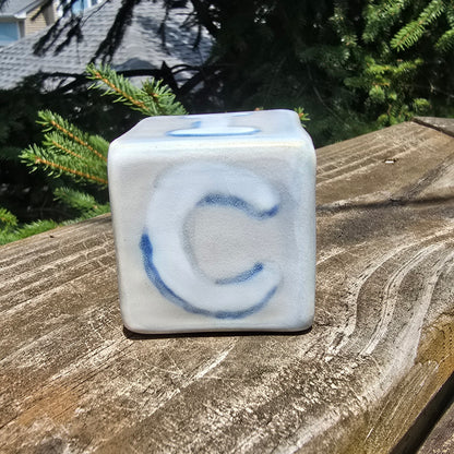 FUCK ICE Cube