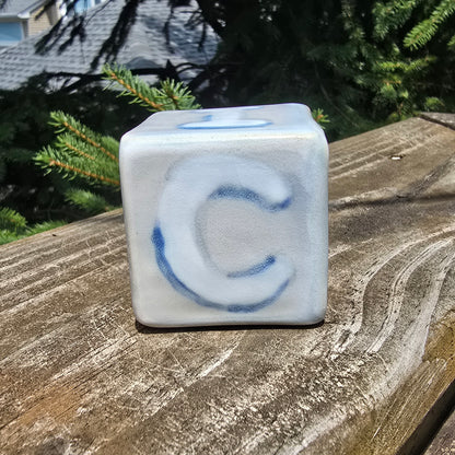 FUCK ICE Cube