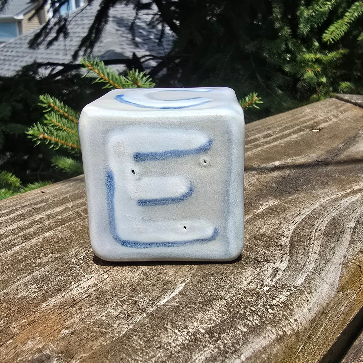FUCK ICE Cube