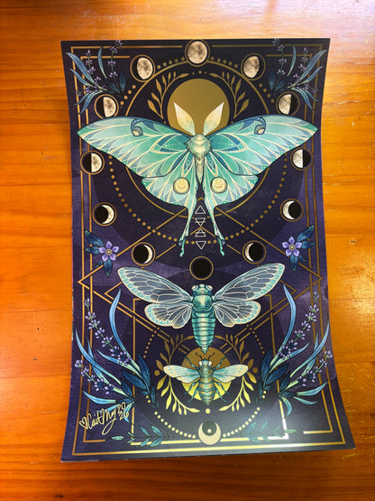 Illustration "Insect" Bundle - Signed by Cait May