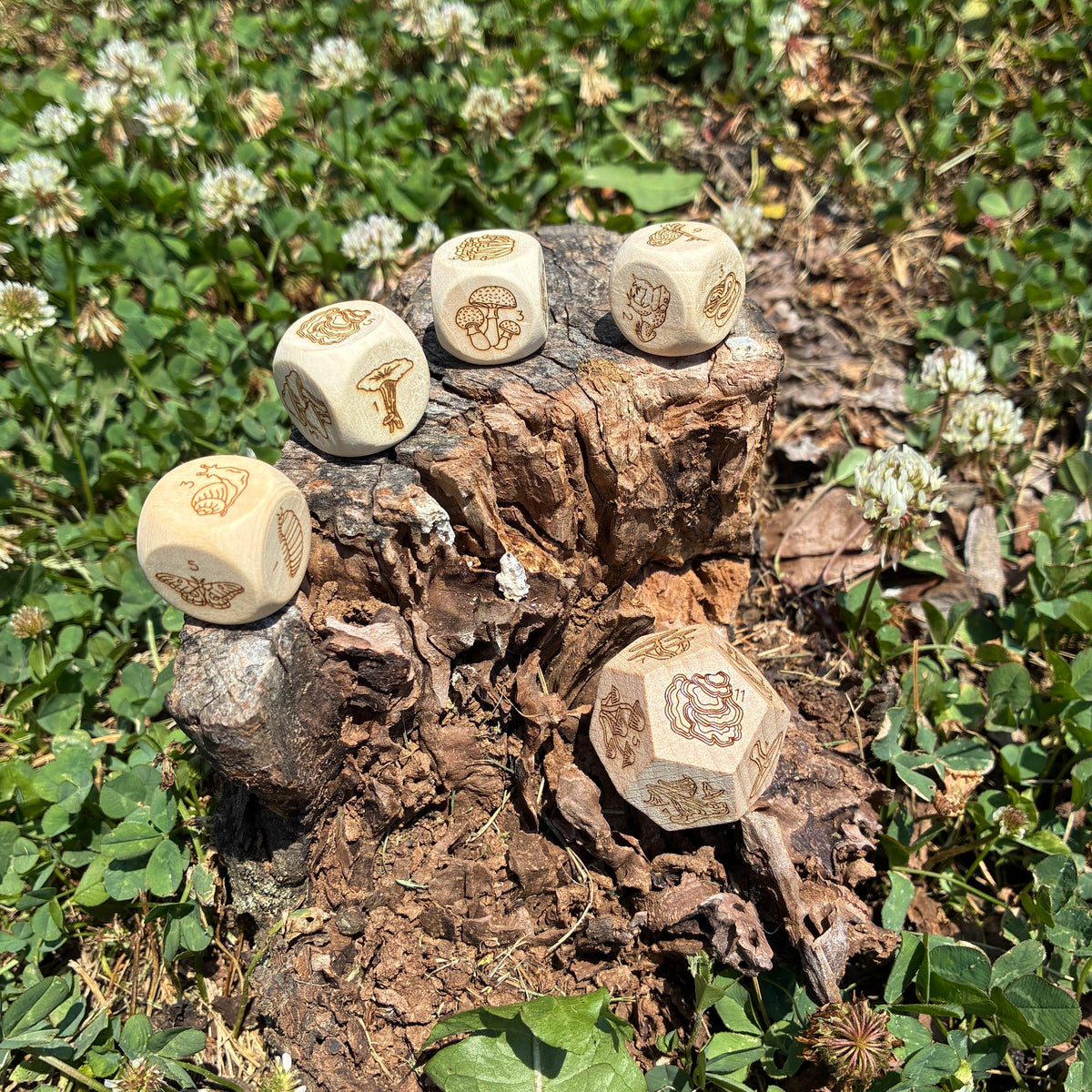 Mushroom Forest - Wood 4d6 + 1d12 Dice Set