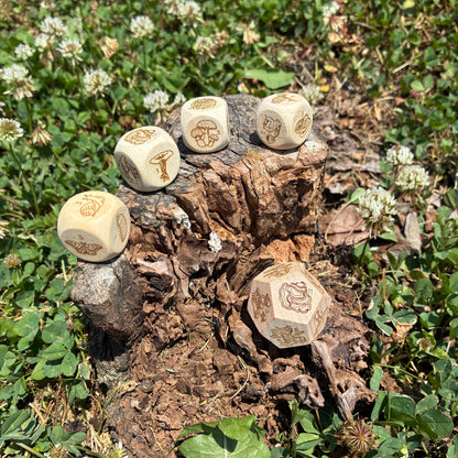 Mushroom Forest - Wood 4d6 + 1d12 Dice Set