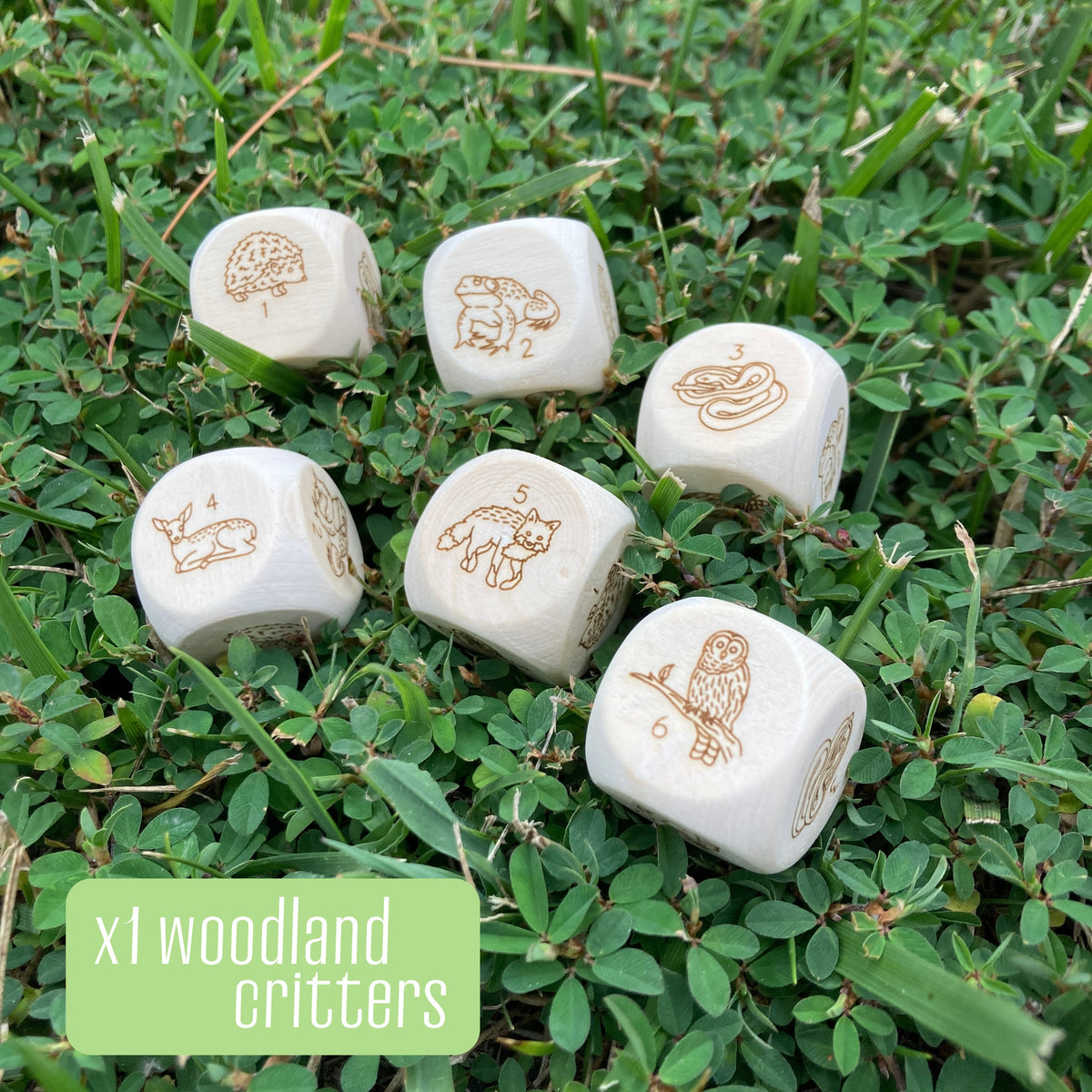 Mushroom Forest - Wood 4d6 + 1d12 Dice Set