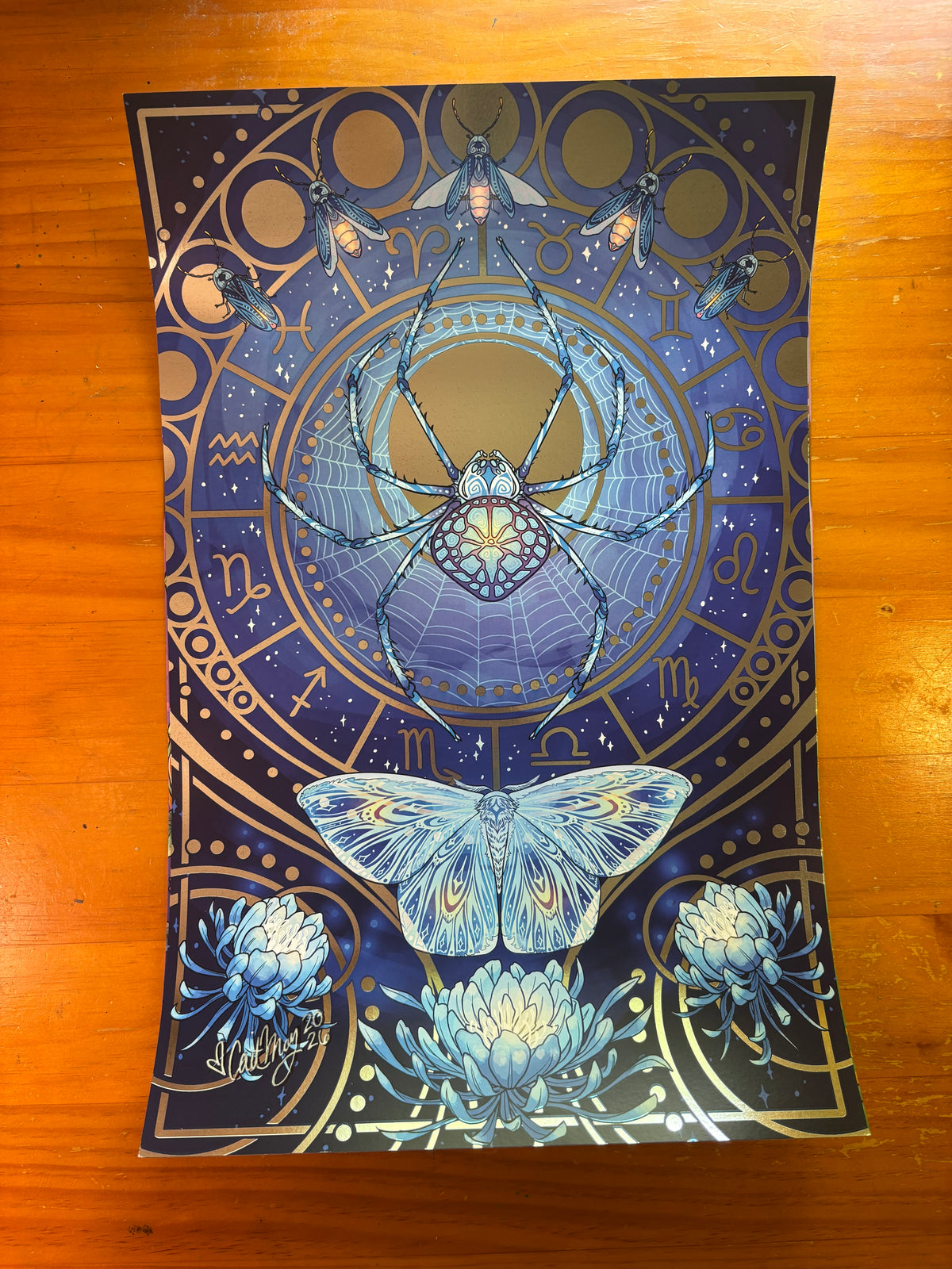 Illustration "Insect" Bundle - Signed by Cait May