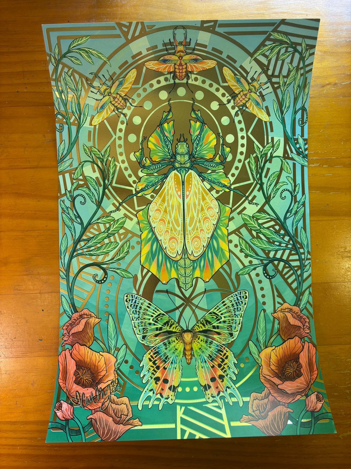 Illustration "Insect" Bundle - Signed by Cait May