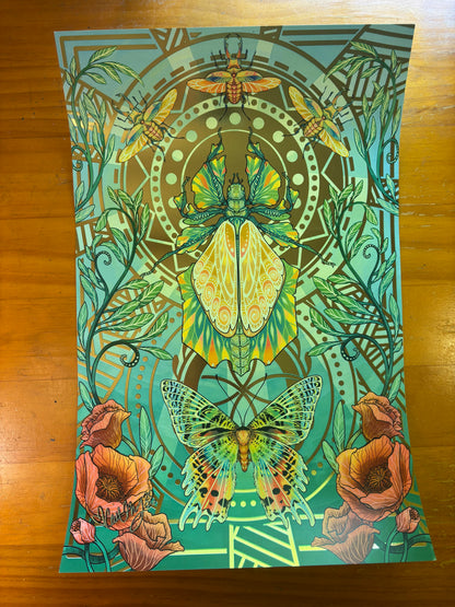 Illustration "Insect" Bundle - Signed by Cait May