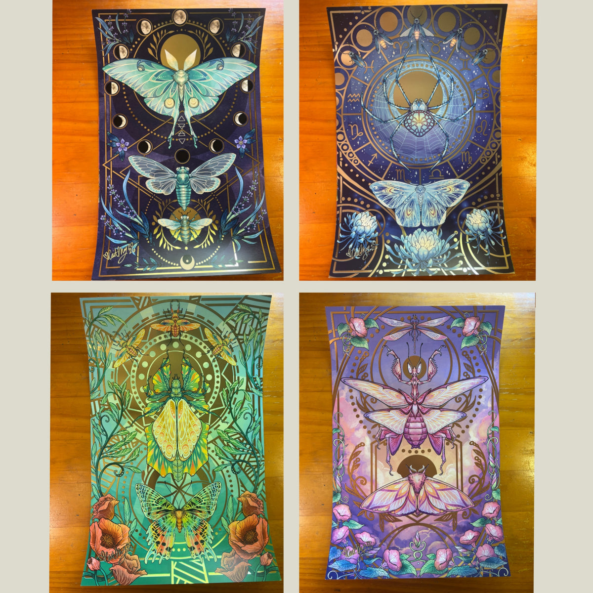 Illustration "Insect" Bundle - Signed by Cait May