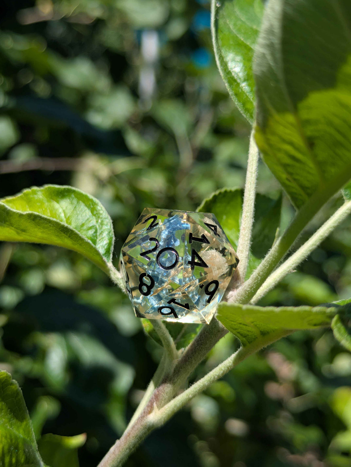 Hylian Hydrangea - Single D20